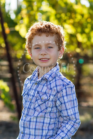 belusko-huckleberry-3