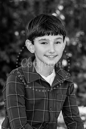 292_3