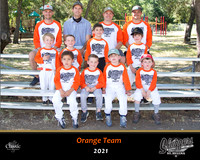 Orangeteam