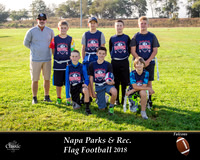 4- Falcons