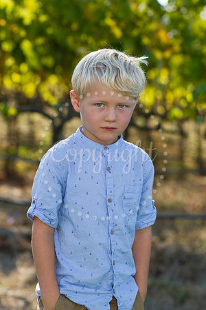 haycock-mulberry-3