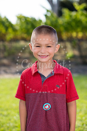 salaiz-mulberry-1