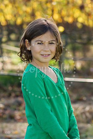 fern-2nd-3_