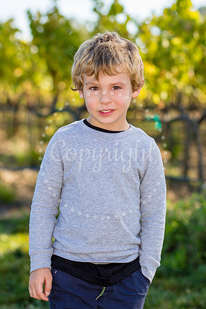 hamm-mulberry-2