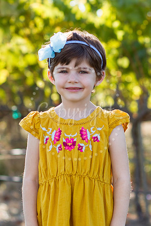 arcadi-huckleberry-2