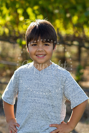 cruz-pessereau-mulberry-2
