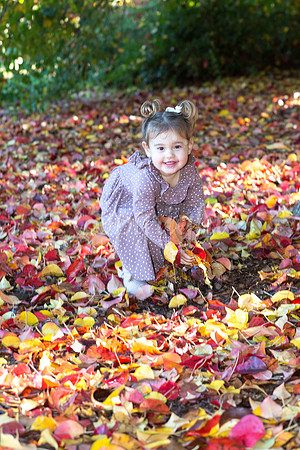 IMG_0176-Edit