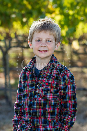 shumaker-mulberry-3_