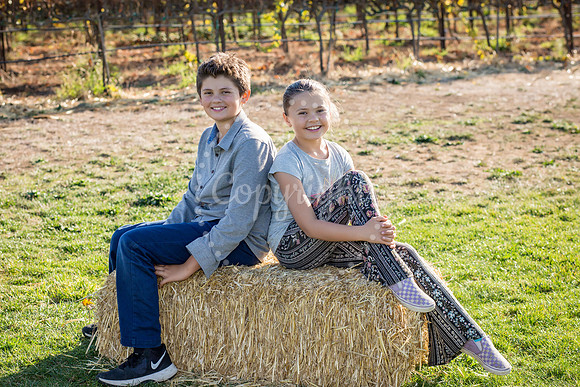IMG_1528-Edit