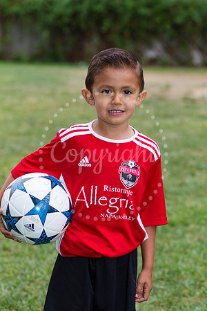 IMG_9782U6AllegriaFelsh