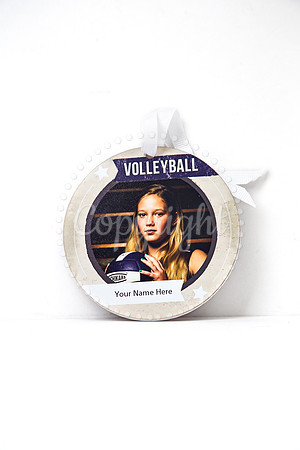 SportsOrnament