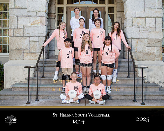 volleyball copy