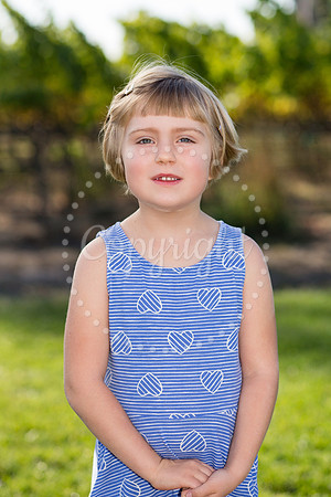 paukert-huckleberry-2