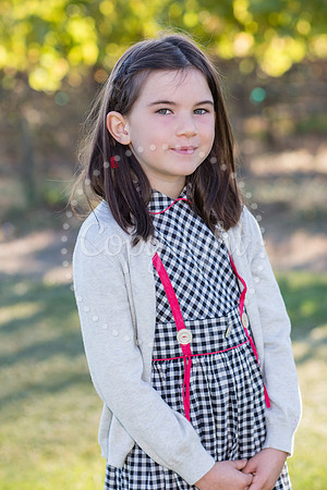 castellino-huckleberry-2