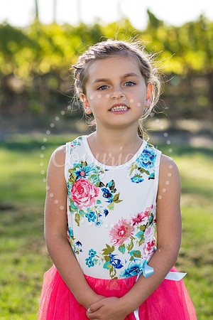 page-huckleberry-1