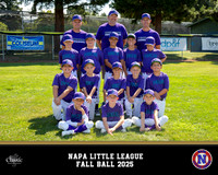 14_Diamondbacks