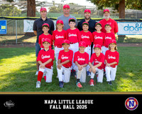 9_Cardinals