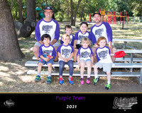 Purpleteam