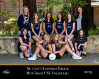SJL_New copy
