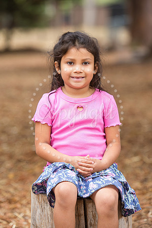 IMG_0794 copy
