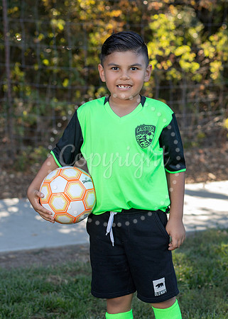 IMG_0120-07 copy
