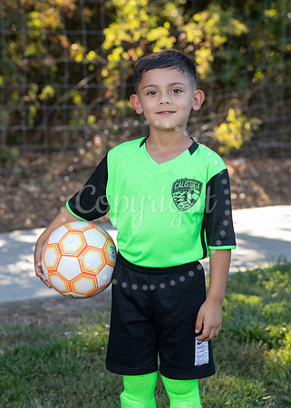 IMG_0117-06 copy