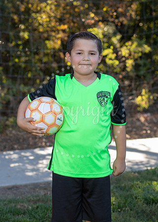 IMG_0121-08 copy