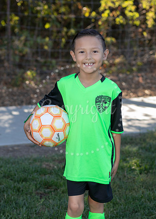 IMG_0112-04 copy