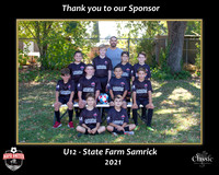 StateFarmSponsor