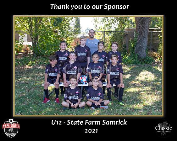 StateFarmSponsor