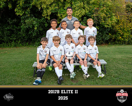 2017 Elite II template