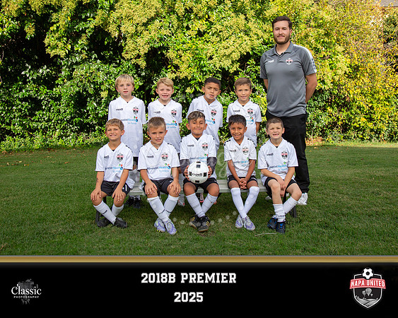 2018B Premier template