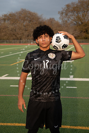 IMG_1210-2 copy