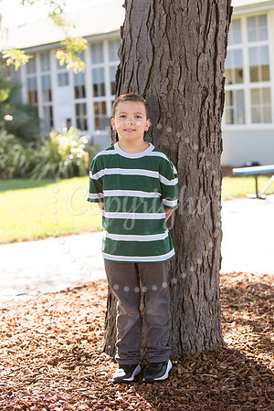 IMG_0551 copy
