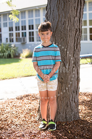 IMG_0471 copy