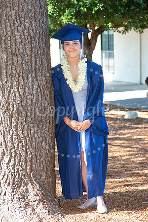 IMG_1329-Edit