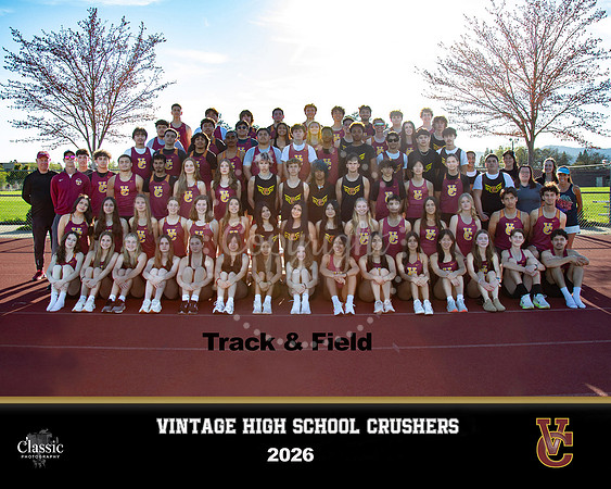 Vintage_VClogo copy