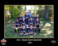 StateFarmTeam