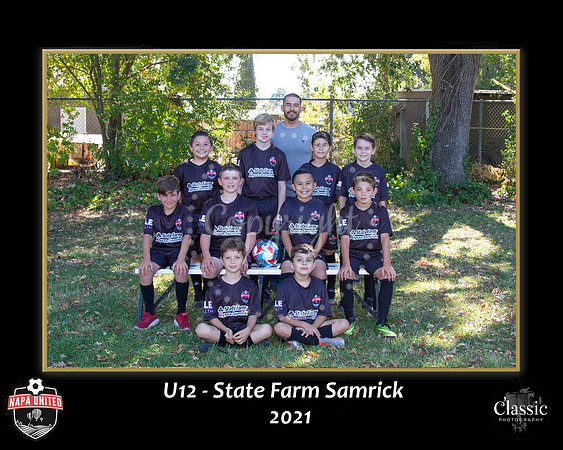 StateFarmTeam