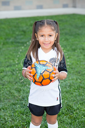 IMG_0086-Edit