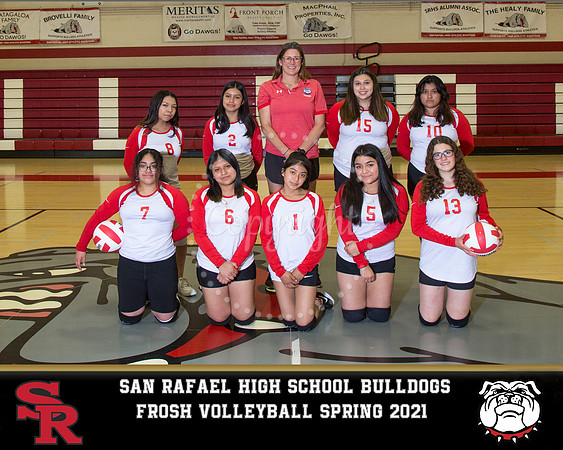 Froshvolleyball