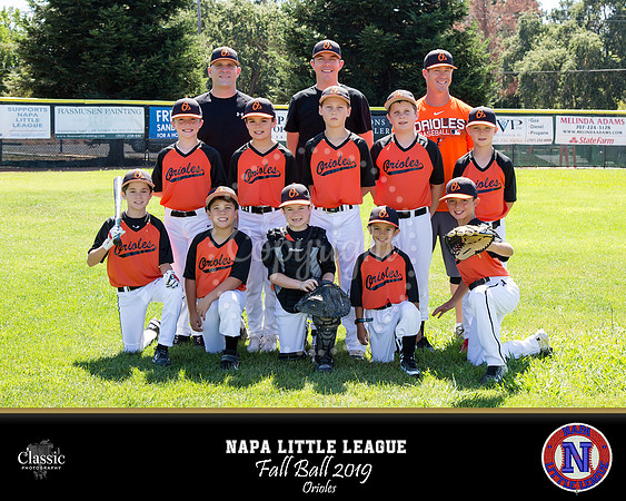 NV_templateNLL fall ball 19