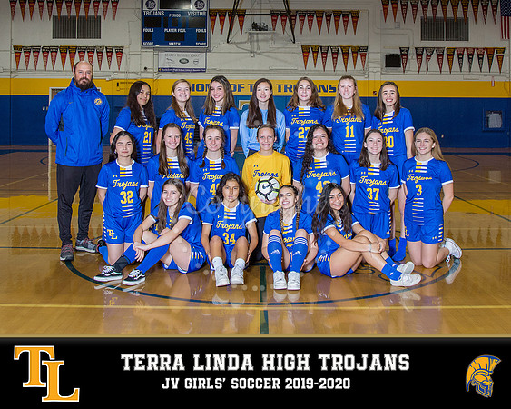 NV_template_jv