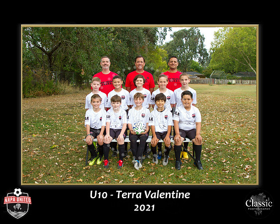 TerraTeam