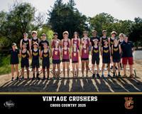 Vintage_VClogo copy