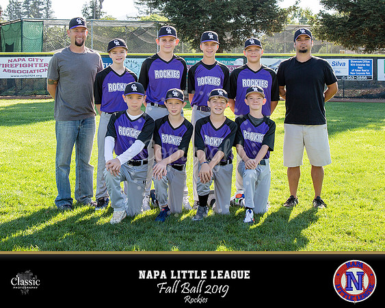NV_templateNLL fall ball 19