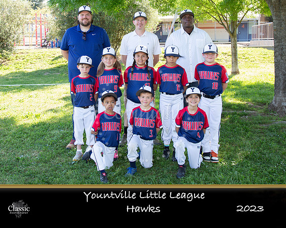 Hawks