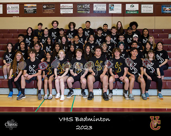 VCBadminton