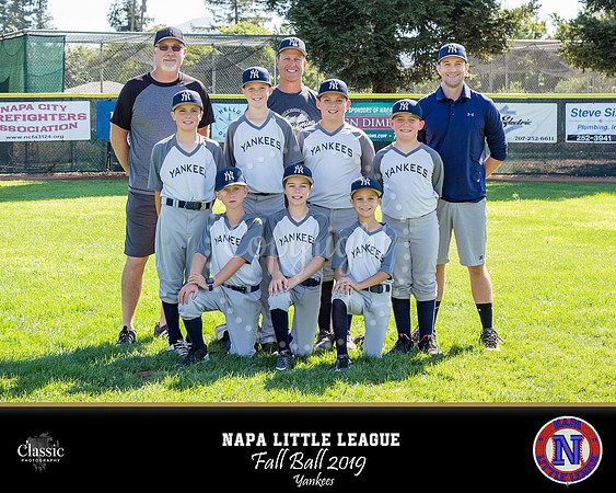 NV_templateNLL fall ball 19