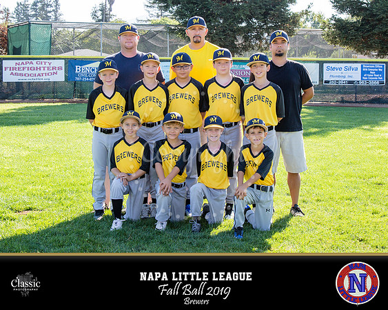 NV_templateNLL fall ball 19